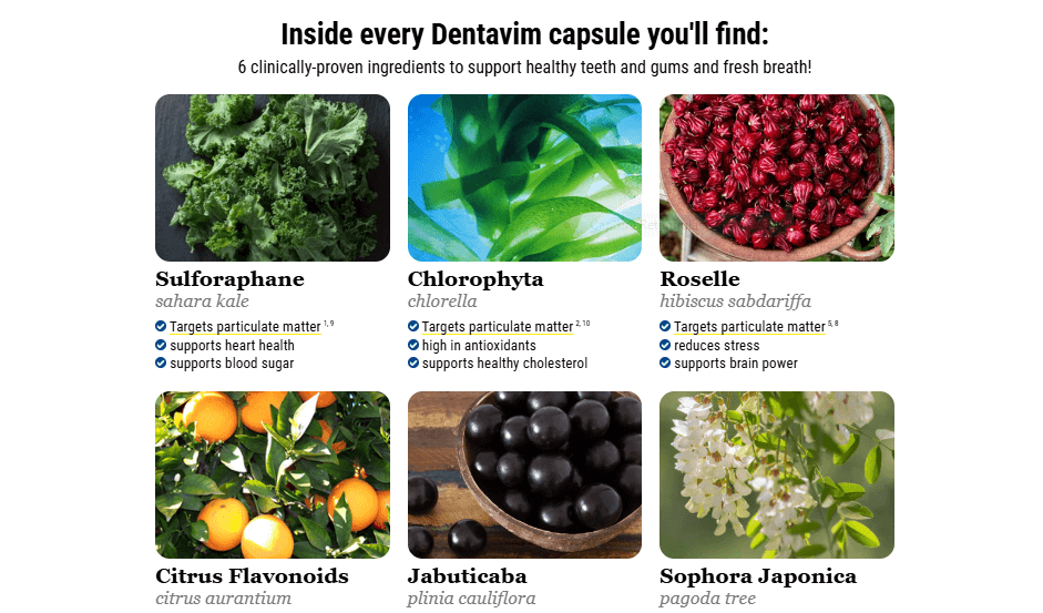 Dentavim Review 5